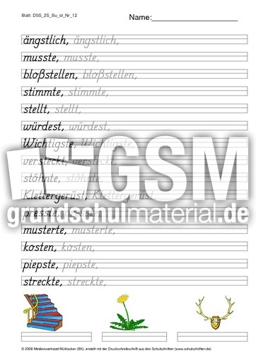 DSS_2S_Bu_st_Nr_12.pdf